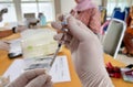 Indonesia, February 06, 2023: Doctor preparing flu or coronavirus injection for vaccinate, defocused background