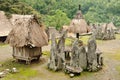 Indonesia, Flores, Bena village Royalty Free Stock Photo