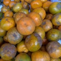 Indonesia local orange, medan area orange