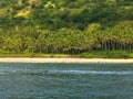 Indonesia Lombok Shore with Palm Trees