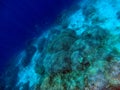 Indonesia, Menjangan Island - The edge of the coral reefs and deep wide ocean