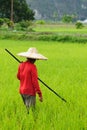 Indonesia, Rice-workers