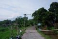 countryside road and trees