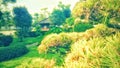 Indonesia Secret Garden at Puncak Royalty Free Stock Photo