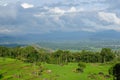 Indonesia, Sulawesi, Tana Toraja, Rice terraces