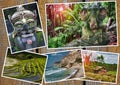 Indonesia theme collage Royalty Free Stock Photo