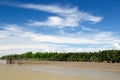 Indonesia - Tropical jungle on the river, Borneo