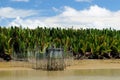 Indonesia - Tropical jungle on the river, Borneo