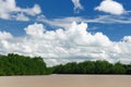 Indonesia - Tropical jungle on the river, Borneo