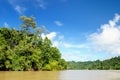 Indonesia - Tropical jungle on the river, Borneo