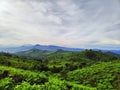 Indonesias outstanding mountain view landscape Royalty Free Stock Photo