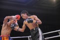 INDONESIAN BOXING WORLD