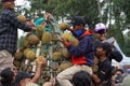 Indonesian are carrying tumpeng durian on sumberasri durian festival