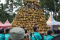 Indonesian are carrying tumpeng durian on sumberasri durian festival