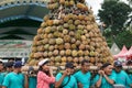 Indonesian are carrying tumpeng durian on sumberasri durian festival