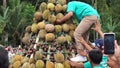 Indonesian are carrying tumpeng durian on sumberasri durian festival