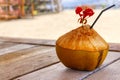 Indonesian coconuts, a tonic, exotic drink. Coconut