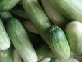 Indonesian cucumber Royalty Free Stock Photo