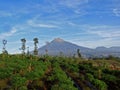 View on the Nature  at Temanggung Central Java Indonesia Royalty Free Stock Photo
