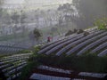 View Temanggung Farmfield on the highlands Royalty Free Stock Photo