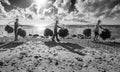 Indonesian farmer carrying seaweed collected from his sea farm to house for drying in morning, Nusa Penida, Indonesia Royalty Free Stock Photo