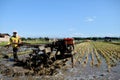 An Indonesian farmer ploughing a rice paddy rield in Golan Village