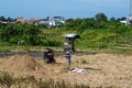 Indonesian farmer working on a rice field