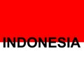Indonesian flag Royalty Free Stock Photo