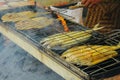 Indonesian grilled fish