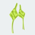 Isolated Indonesian Ketupat Packed Rice Vector Illustration