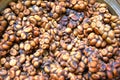 Indonesian luwak coffee bean Royalty Free Stock Photo