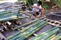Indonesian man preparing bamboo scaffolding in Gili Islands Indonesia