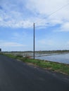 Indonesian nature on a sunny day is very beautiful full of blooming flowers