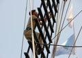 Indonesian Navy officer cadet climbing a ladder on a sail ship, NY Fleet Week 2012