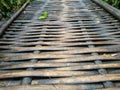 woven bamboo in such a way as to become a traditional bridge Royalty Free Stock Photo