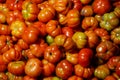 Indonesian red tomato which is the rose tomato type.