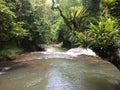 Indonesian River in the Jungle Royalty Free Stock Photo