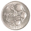 25 Indonesian rupiah coin