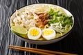 Indonesian `Soto Ayam` Chicken Noodle Soup in a spicy broth close up in the plate. Horizontal Royalty Free Stock Photo