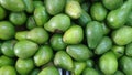 Indonesian tropical Green Avocadoes Royalty Free Stock Photo