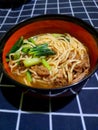 Indonesian typical chicken noodles with vegetables and a savory and delicious broth eaten while still hot