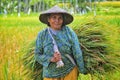 Indonesian women farmer