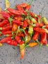 Indonesians call it chili devil, hot chili Royalty Free Stock Photo