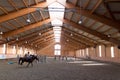 The indoor arena is a special place where horses are trained or trained