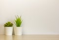 Indoor artificial plants, various succulents in pots. Succulents in white mini-pots. Ideas for home decoration.Copy of the space Royalty Free Stock Photo