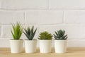 .Indoor artificial plants, various succulents in pots. Succulents in white mini-pots. Ideas for home decoration.Copy space Royalty Free Stock Photo