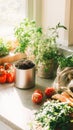 Indoor compost setup with fresh vegetables and herbs on kitchen counter Royalty Free Stock Photo
