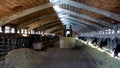Indoor dairy farm Royalty Free Stock Photo