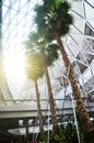 Indoor decoration of Jewel Changi Singapore