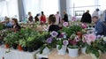 Indoor decorative blooming flowers exhibition